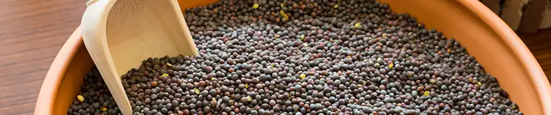 Sri Lankan spices - Mustard Seeds (Aba – අබ ඇට) - SpiceRally