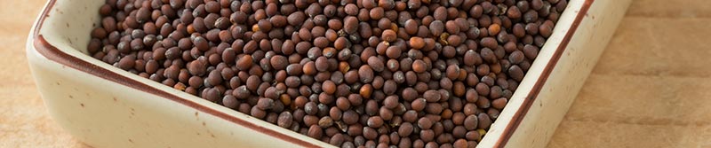 Mustard Seeds (Sarso/ Rai) - SpiceRally