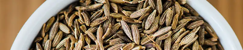 Sri Lankan spices - Cumin (Sooduru – සූදුරු) - SpiceRally