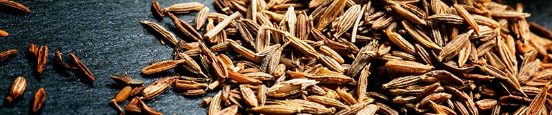 Spices In Tikka Masala - Cumin (Jeera) - SpiceRally