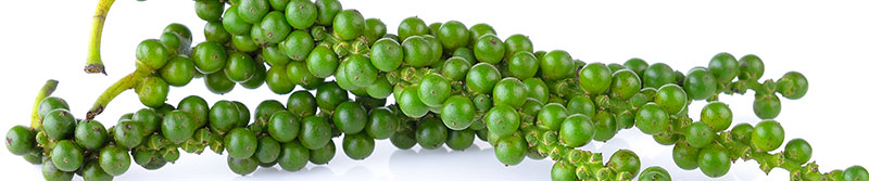 Green Peppercorns - SpiceRally