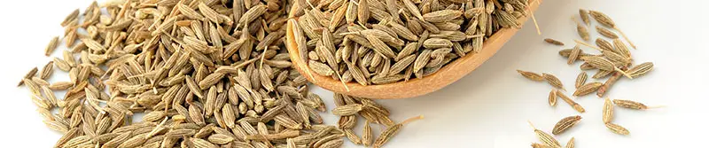 Spices for Vegan Cooking - Cumin - SpiceRally