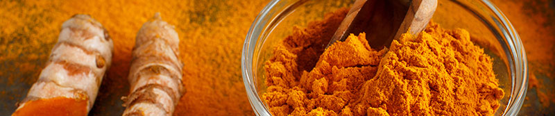 Spices for Vegan Cooking -Turmeric - SpiceRally
