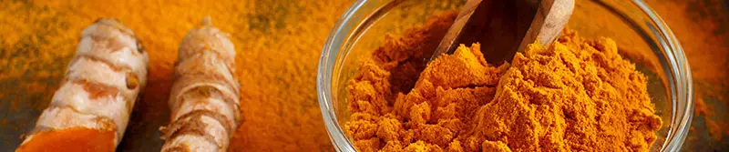 Spices for Vegan Cooking -Turmeric - SpiceRally