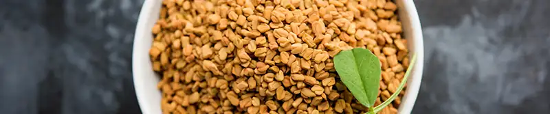 Sri Lankan spices - Fenugreek (Uluhaal – උලුහාල්) - SpiceRally