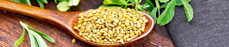 Fenugreek (Methi Seeds) - SpiceRally