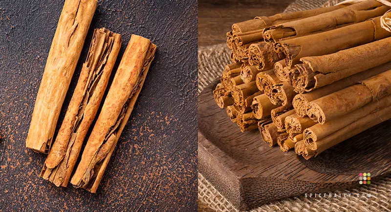 Saigon Cinnamon Vs Ceylon Cinnamon - SpiceRally