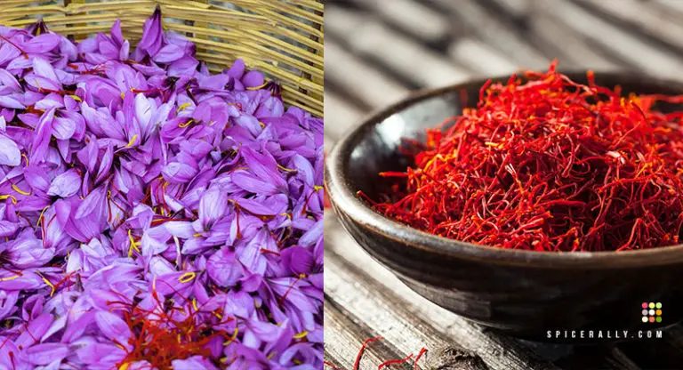 Saffron (Red Gold), The Most Expensive Spice in The World!