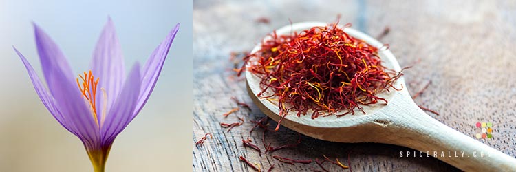 Saffron, The Most Expensive Spice in The World! - SpiceRally
