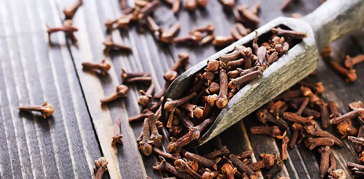 Spices Are In Chai Tea - Cloves - SpiceRally