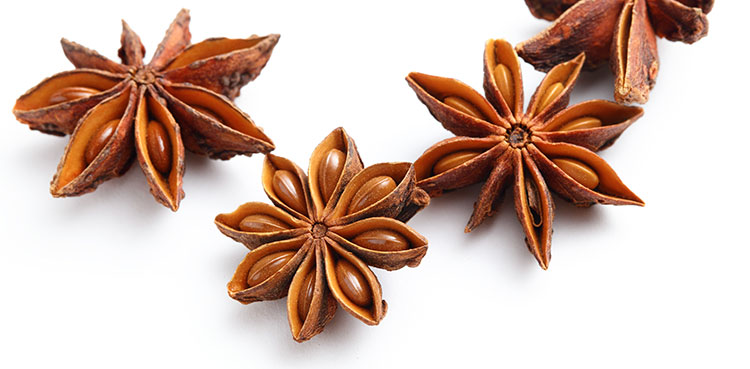 Spices In Chai Tea - Star Anise - SpiceRally