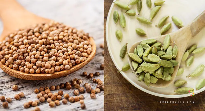 Coriander Vs Cardamom - SpiceRally