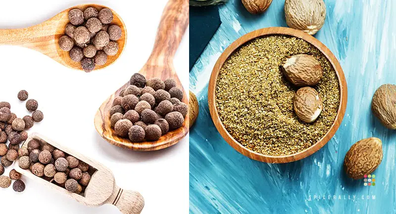 Allspice Vs Nutmeg - SpiceRally