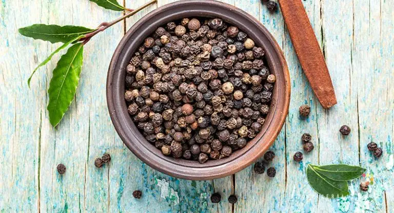 How To Grow Black Pepper Successfully At Home- A Complete Guide