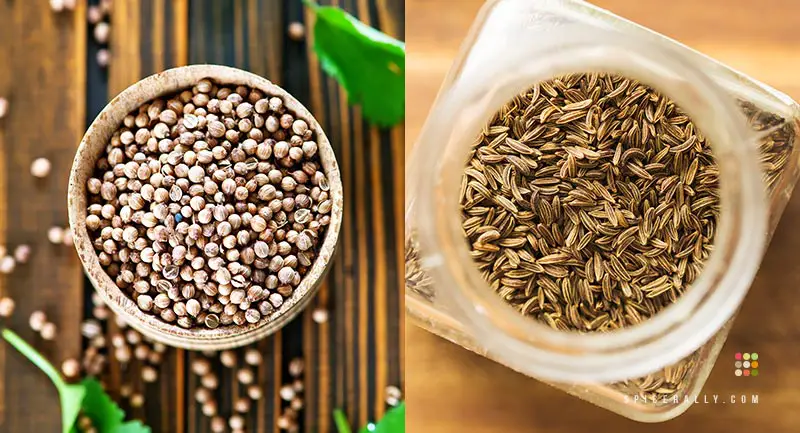 Coriander Vs Cumin - SpiceRally