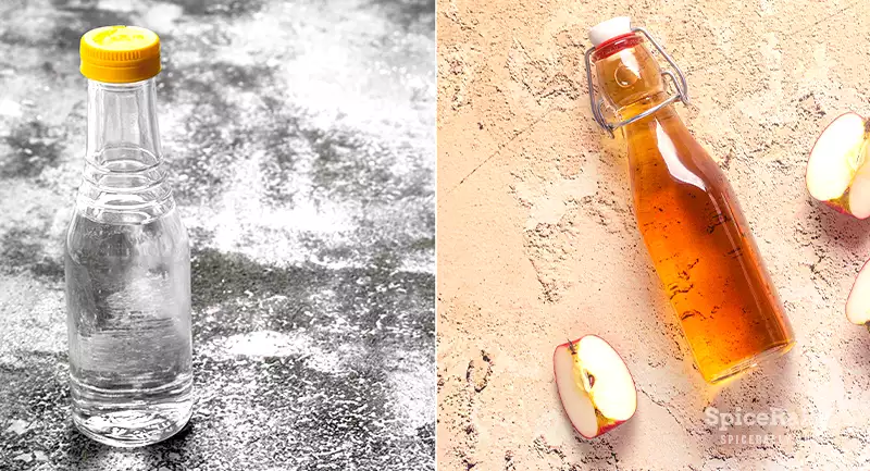 Apple Cider Vinegar vs White Vinegar - SpiceRally