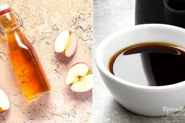 Apple Cider Vinegar vs Balsamic Vinegar - SpiceRally