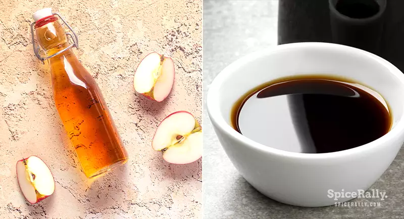 Apple Cider Vinegar vs Balsamic Vinegar - SpiceRally