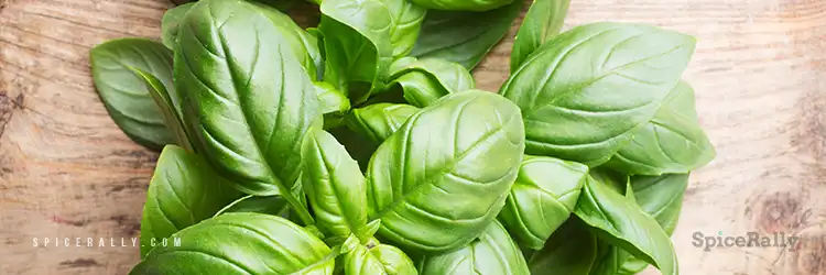 Basil - SpiceRally