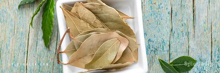 Bay Leaves - SpiceRally