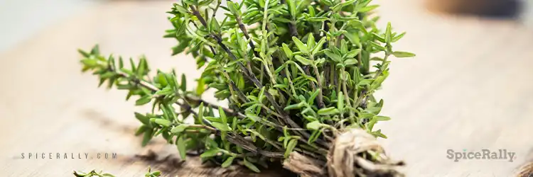 Thyme - SpiceRally