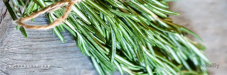 Rosemary - SpiceRally