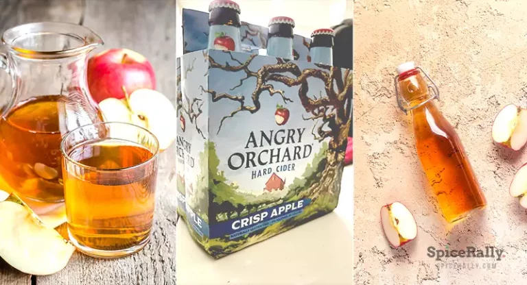 The 03 Best Apple Cider Substitutes That You Must Try!