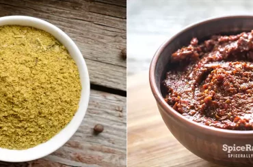 Adobo Seasoning vs Adobo Sauce - SpiceRally