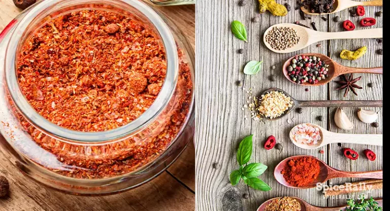 How To Make Sazon Seasoning At Home? (Your Go-To Recipe!)
