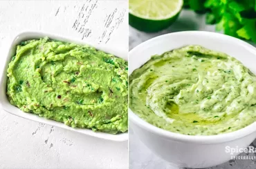 Guacamole vs Creamy Avocado Salsa - SpiceRally