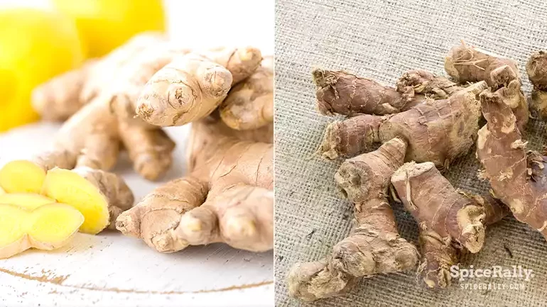 Ginger vs Galangal - SpiceRally