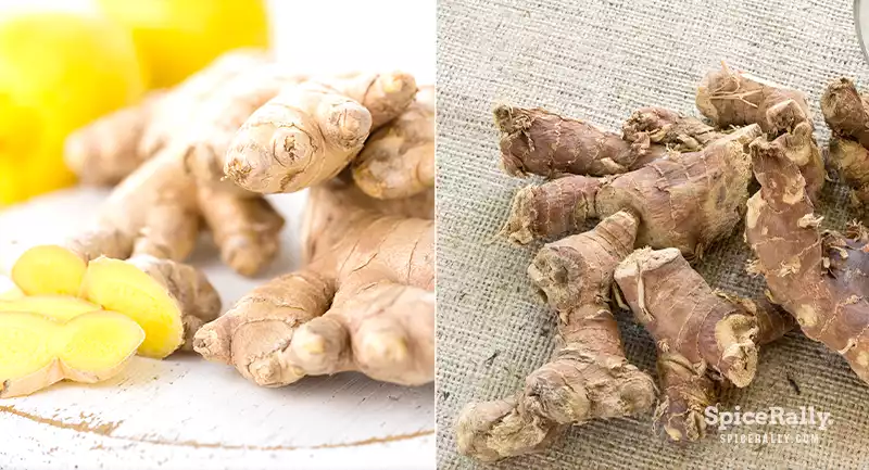 Ginger vs Galangal - SpiceRally