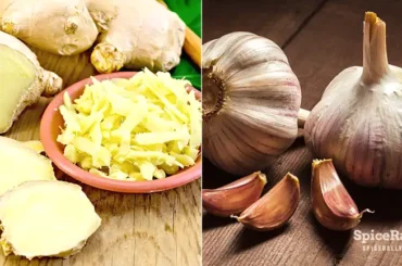 Ginger vs Garlic - SpiceRally
