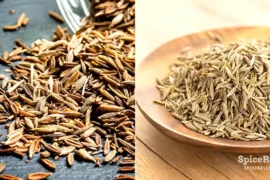 What Is Cumin - SpiceRally