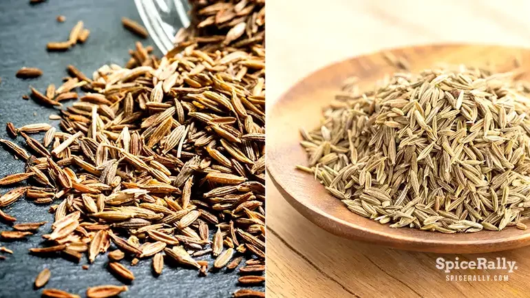 What Is Cumin - SpiceRally