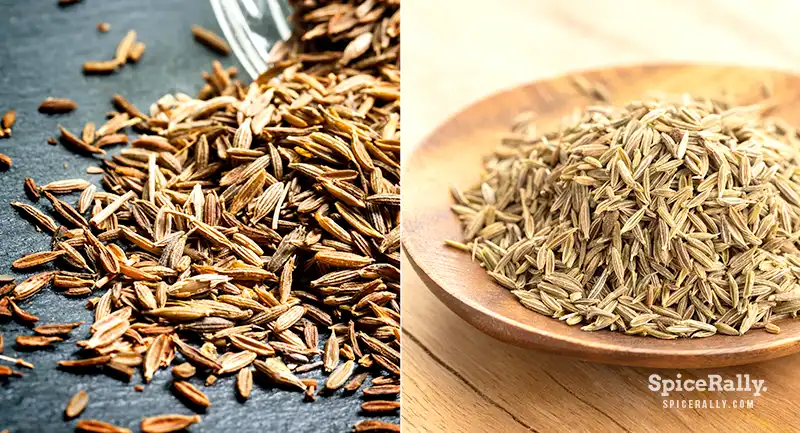 What Is Cumin - SpiceRally