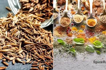 best substitutes for cumin - SpiceRally