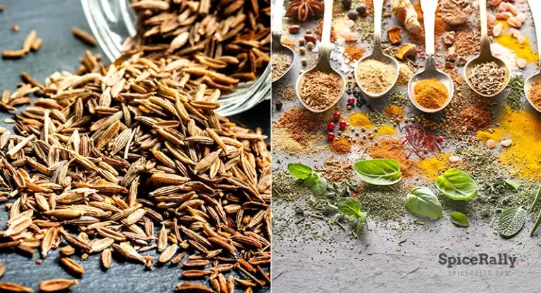 The Best 07 Substitutes For Cumin You Can Easily Find!