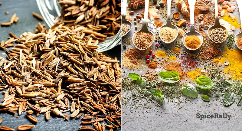 best substitutes for cumin - SpiceRally