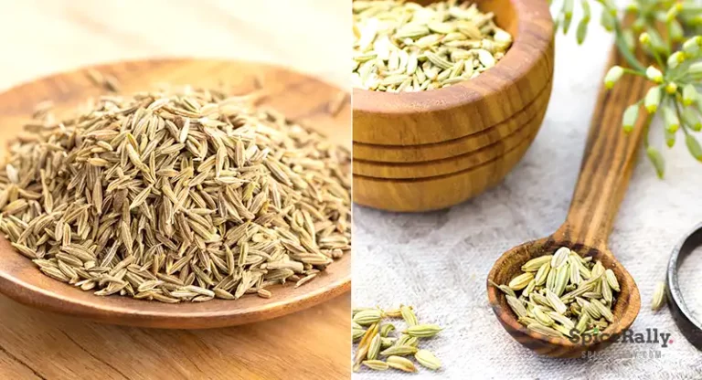 Cumin vs Fennel- The Truth About Their Differences and Similarities
