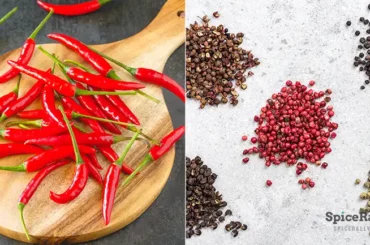 Chile Pepper vs Pepper - SpiceRally