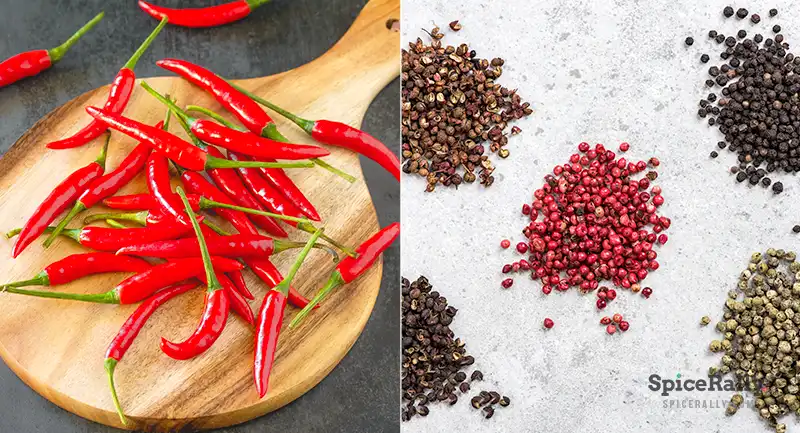 Chile Pepper vs Pepper - SpiceRally