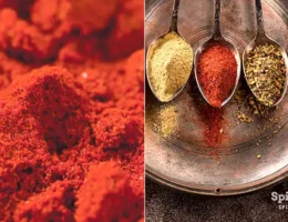 Chili Powder Substitutes - SpiceRally