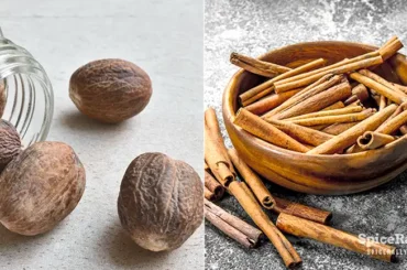 Nutmeg vs Cinnamon - SpiceRally