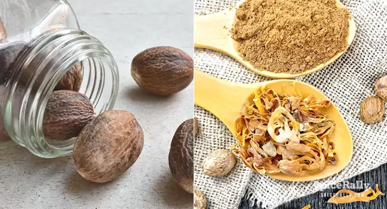 This Is What You Should Know About Nutmeg vs Mace (They Aren’t Similar!)