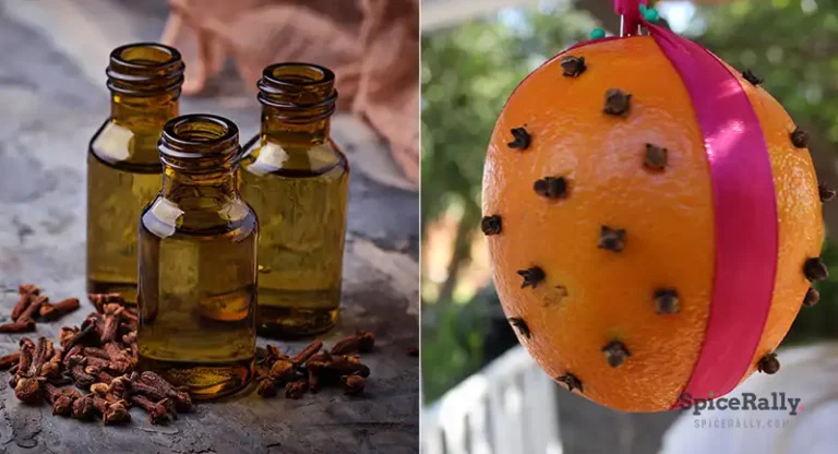 Revealing The Best Non-Culinary Uses And Benefits Of Cloves- Household| Beauty| Health