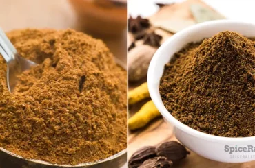 Sambar Powder vs Garam Masala Powder - SpiceRally
