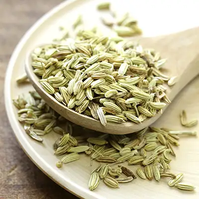 Fennel - SpiceRally