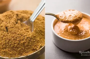 biryani masala powder vs biryani masala paste - SpiceRally