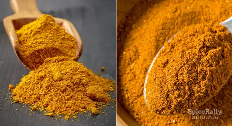 Japanese Curry Powder Vs Indian Curry Powder- How Do They Actually Compare?